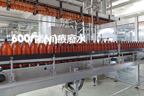 “600t醫(yī)療廢水處理設計方案，引領環(huán)保新篇章”